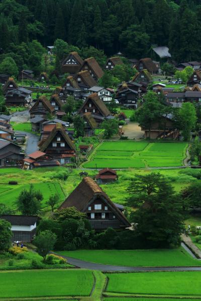 岐阜　初夏の白川郷　2016