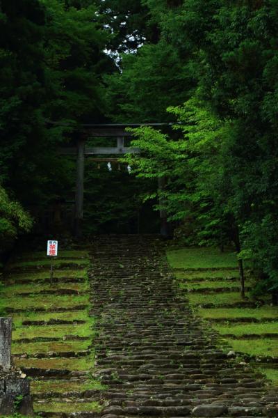 福井・石川　平泉寺白山神社、花はす公園、鶴仙渓、無限庵