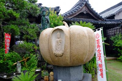 三河三封寺・健康の神社巡りとあじさいのバスツアーに参加しました