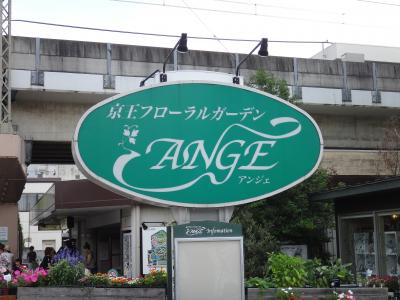 (イギリスまで行かなくても見られる）東京都内のイングリッシュガーデン～京王フローラルガーデン・アンジェ～