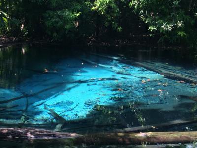 2016年2月微笑みの国 タイ クラビ編