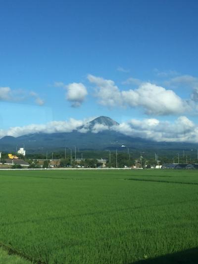 山陰のたび。米子皆生温泉と日本一の庭園を眺める足立美術館へ。