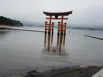 広島、世界遺産から野生動物とのふれあいと盛りだくさんの一人旅　DAY３　～宮島Ⅰ～