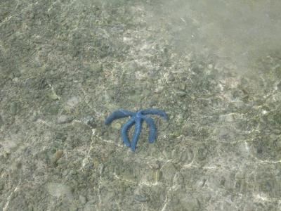 こさまと行くグアム(7歳9か月編)3~4日目