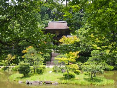 運慶仏を訪ねて奈良・円成寺へ