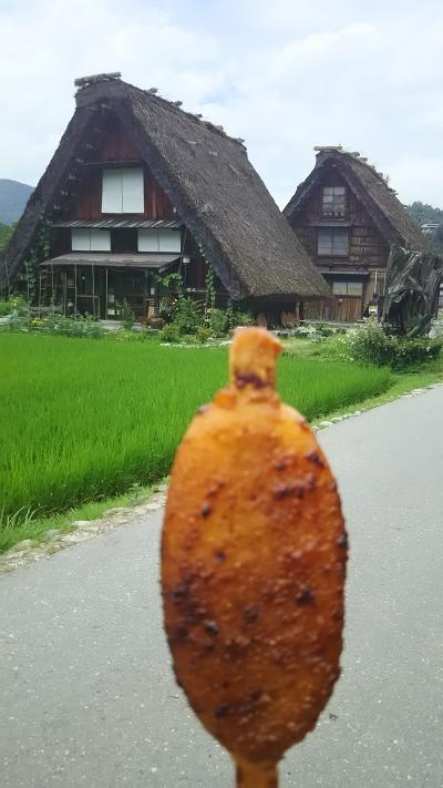 弾丸日帰り旅行 白川郷&飛騨高山