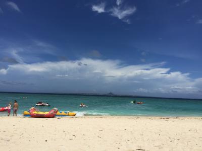 再びの沖縄☆6日目 「瀬底島と今帰仁城跡、そして備瀬のフクギ並木で森林浴とか」