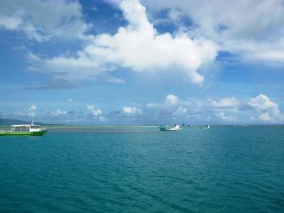 石垣島ダイブ160702