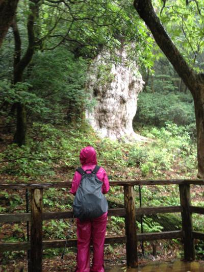 屋久島　旅行記