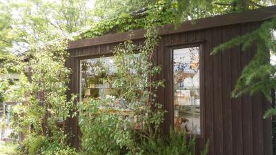 ちょっとそこまで。～東寺-くるみの木-不退寺～