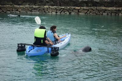 夏・南紀弾丸の旅【クジラと泳げる海水浴場へ?！編】