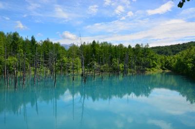 嫁はんと行く北海道の旅　　2日目後半は　　　美瑛に行く