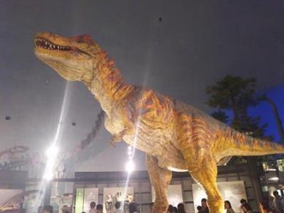 恐竜博物館と六呂師高原キャンプ