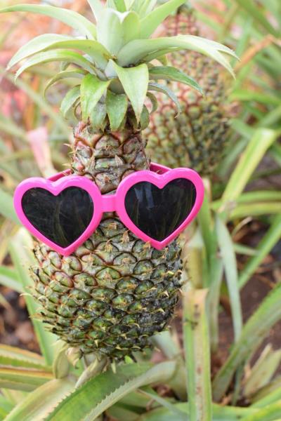 2016ハワイ夏休み！二日目