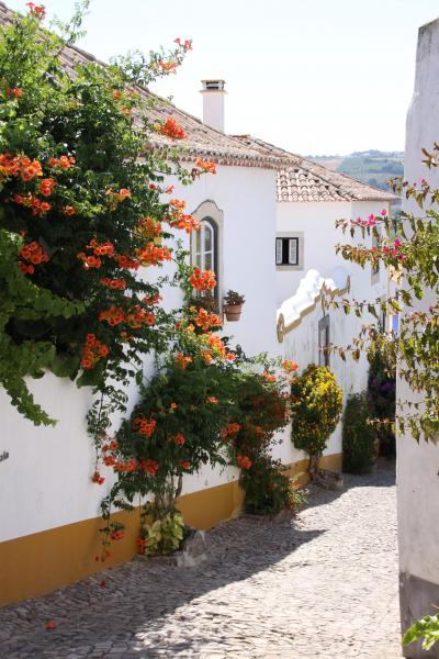 ■ 北スペイン ・ ポルトガルの旅　（８） ＜ オビドス ＞