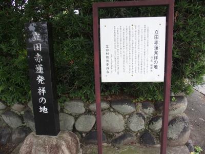 愛知県愛西市赤蓮保存田・陽南寺・岐阜県海津市アクアワールド水郷パークセンター2016