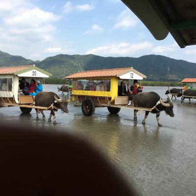 外国のようでいてちゃんと沖縄を感じられるホテル