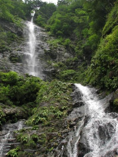 高知県一の滝・小金滝と周辺の滝