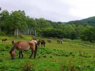 涼しく爽やかな信州の夏旅　～1日目～