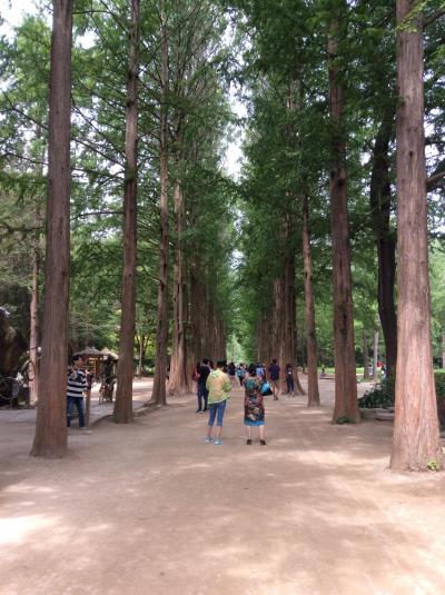 3泊4日♪ 1年ぶりのソウル(^_^)v