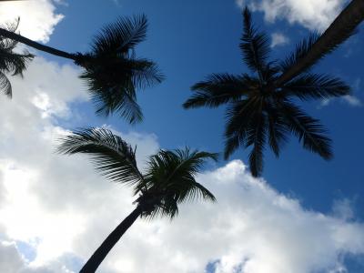 セーシェルに新婚旅行で行きました（1日目）マへ島
