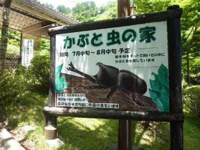 かぶと虫の家　比叡山ドライブウェイ　