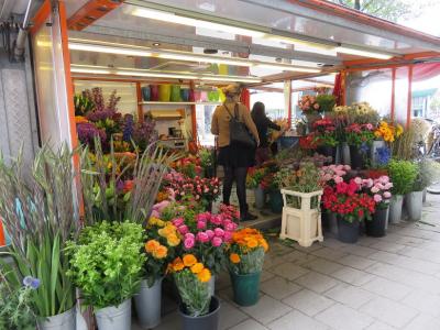 オランダの花屋は、色彩が満載で・・・