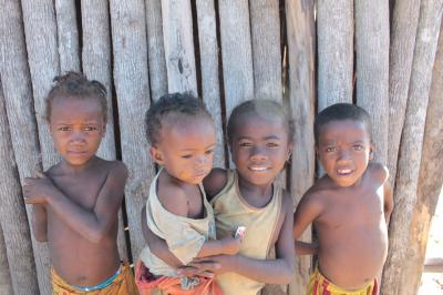 マダガスカル新婚旅行　キリンディー森林保護区へ