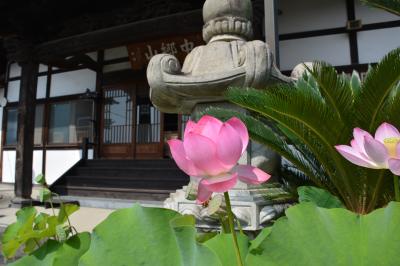 船山温泉での保養と身延山御首題巡り（山梨県身延町・南部町周辺）