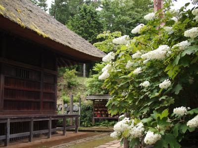 関東平野の端をなぞるプチお参りの旅　塩船観音寺・高麗神社・聖天院