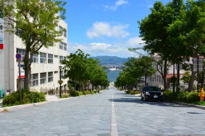 初夏の北海道旅行　①　　～　函館の空中散歩　～