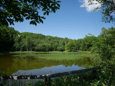 初夏の乗鞍で、美味しい空気をたんまり吸う休日