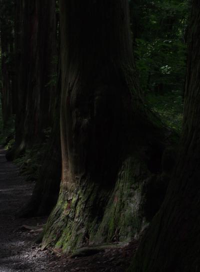 お天気ナナメなら、戸隠神社！？