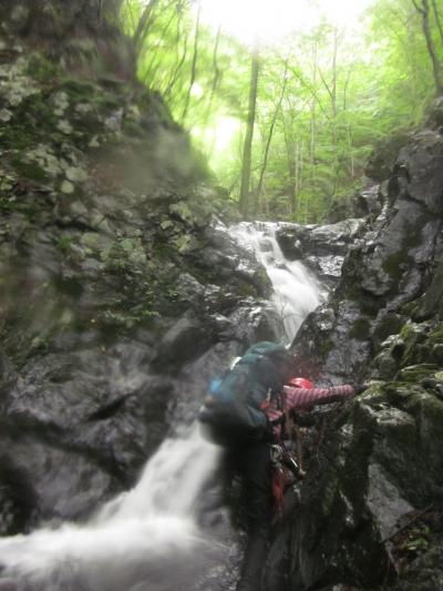 日本ならではの沢遊び～奥秩父の金山沢～