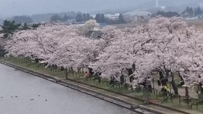 4月5月のあれこれ@新潟@