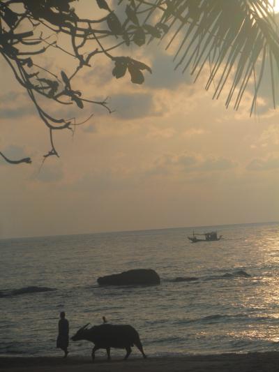 黒こげない サムイ島 その2