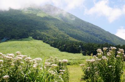 大山に涼を求めて