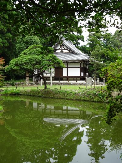 ちょっと足をのばして富田林のお寺めぐり、その１