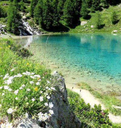 団塊夫婦のアルプス絶景トレッキング(2016ハイライト)ーエランの谷その２：ラック・ブルー＆エヴォレーヌ