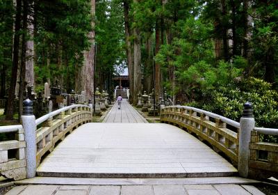 九夏三伏 高野山彷徨①奥の院