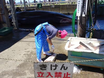 南房総ドライブ：クジラの解体と昼食・日帰り入浴