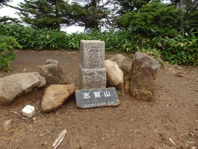 志賀山　野花を求め