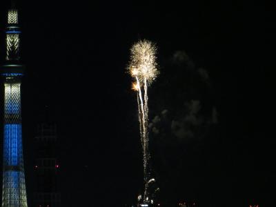 夏の風物詩　隅田川の花火大会