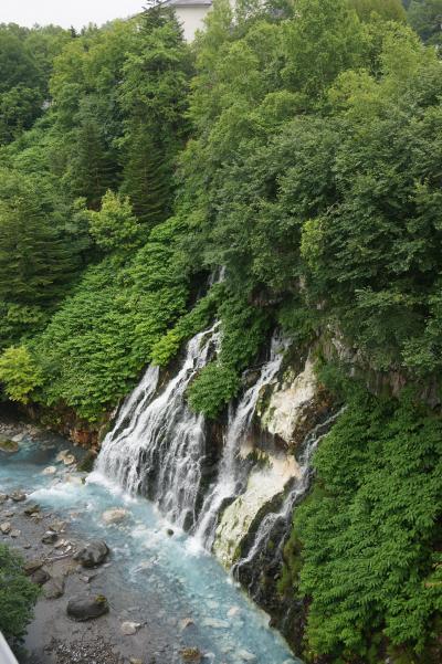 北海道2泊3日の旅♪&#9463;　 (美瑛の丘、四季彩の丘、酪農牧場、白金青の池、白ひげの滝へ）