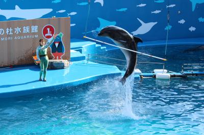 仙台うみの杜水族館いってみました！