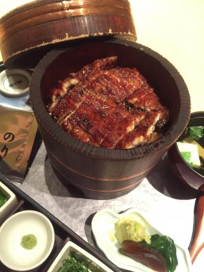 ぷらり山歩記　　～2016.7　　乗鞍山頂を目指して　　最後の晩餐はひつまぶし～　～(作成中)