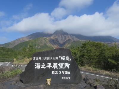 クマ　初鹿児島に上陸　目指せ開聞岳　韓国岳！　①鹿児島街を満喫！