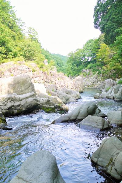 夏休みの一日　近場で遊ぶ～♪