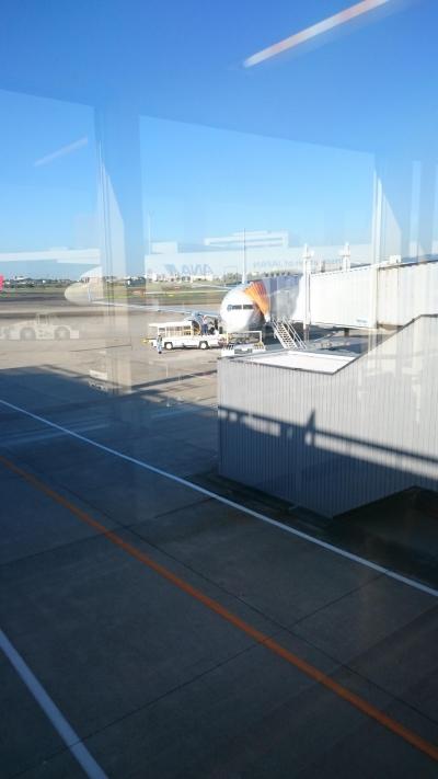 SFCに入るために　第1回　①　那覇タッチでレッツゴー