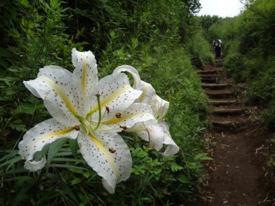 初めての金時山登山と温泉でのんびりその１・まさかの事態に！